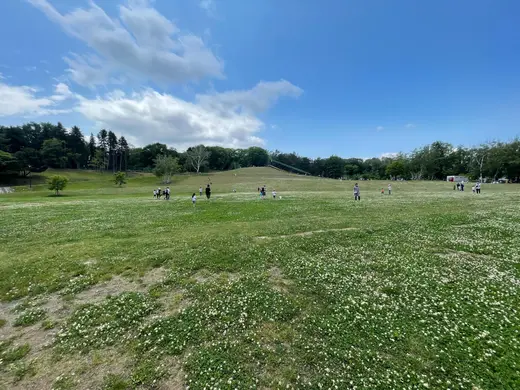 【札幌】広大な芝生とバリエーション豊富な遊具で子どもは無限に遊んでいられる【公園】