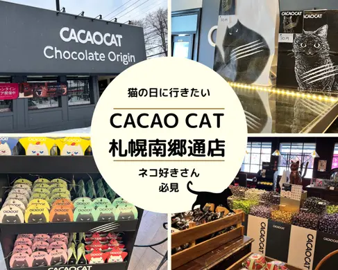 ネコの日に行きたい♪CACAOCAT札幌南郷店でネコづくし