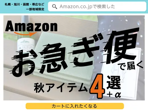 【北海道の一部限定】Amazonのお急ぎ便(当日・翌日配送)で買った、秋に使えそうなアイテム5つを勝手に紹介する