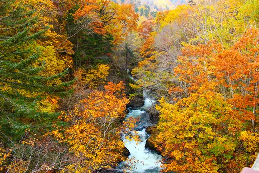 【2024年秋】札幌市内の9月イベントまとめ　