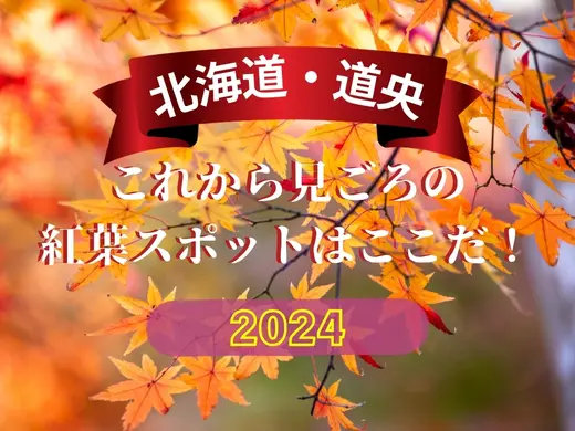 【道央】北海道 これから見ごろの紅葉スポットはここだ！2024