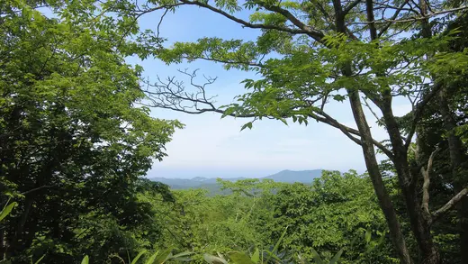 小樽天狗山で登山をしてみよう！初心者向けの登山コース