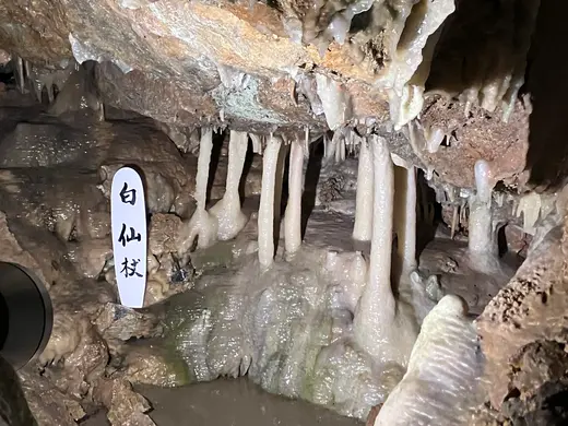 【当麻町】暑い夏は「当麻鍾乳洞」で冷え冷え〈ナイトツアー予約受付中〉