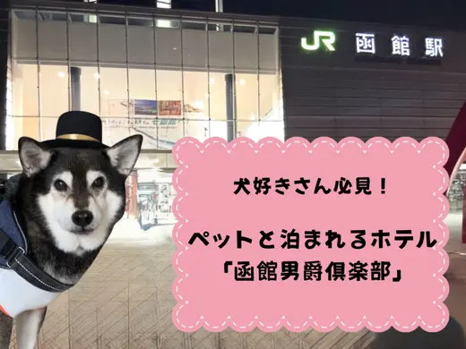 【函館・男爵倶楽部】愛犬と一緒に上質な時間を。ペットと泊まれるホテルで過ごす特別な函館ステイ