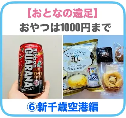 【おとなの遠足】⑥新千歳空港編｜おやつは1000円まで