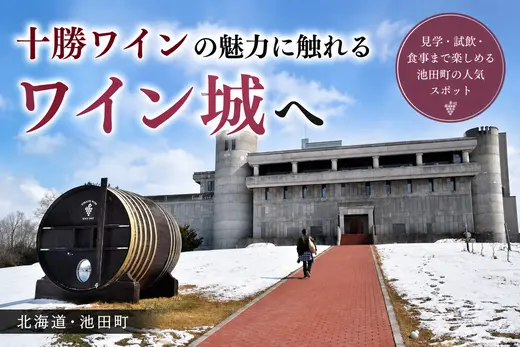 池田町「いけだワイン城」観光レポ｜十勝ワイン試飲・地下熟成室・絶景レストランまで徹底紹介