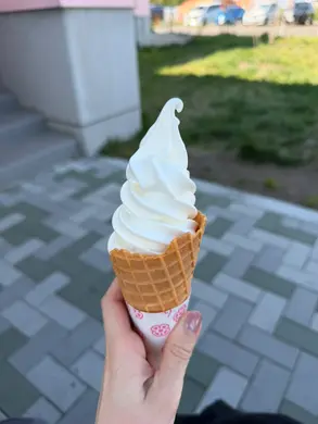 長沼町「あいすの家とエトセトラ」徹底レポ！40種のジェラートと大行列のソフトクリーム｜周辺マーケットも
