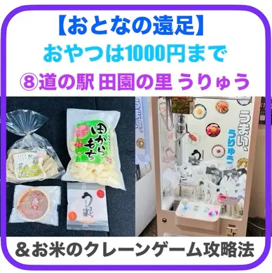 【おとなの遠足】⑧道の駅 田園の里うりゅう編｜おやつは1000円まで＆お米のクレーンゲーム攻略