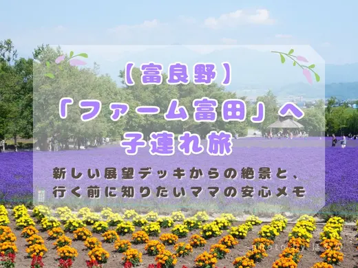 【富良野】「ファーム富田」へ子連れ旅｜新しい展望デッキからの絶景と、行く前に知りたいママの安心メモ