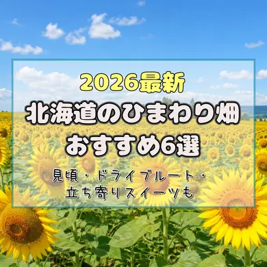 【2026最新】北海道のひまわり畑おすすめ6選！見頃・ドライブルート・立ち寄りスイーツも【絶景スポット】