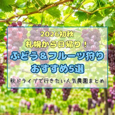 【2026初秋】札幌から日帰り！ぶどう＆フルーツ狩りおすすめ5選｜秋ドライブで行きたい人気農園まとめ