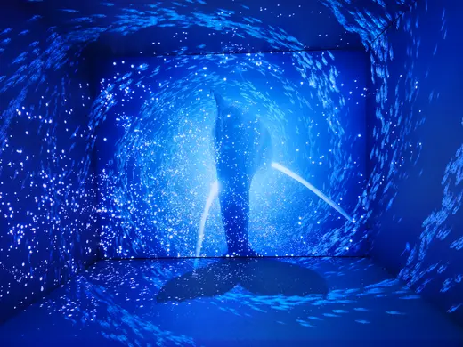 【登別】水族館「登別マリンパークニクス」2026夏〜初秋の見どころ｜新感覚の映像体験やイワシのパフォーマンスも