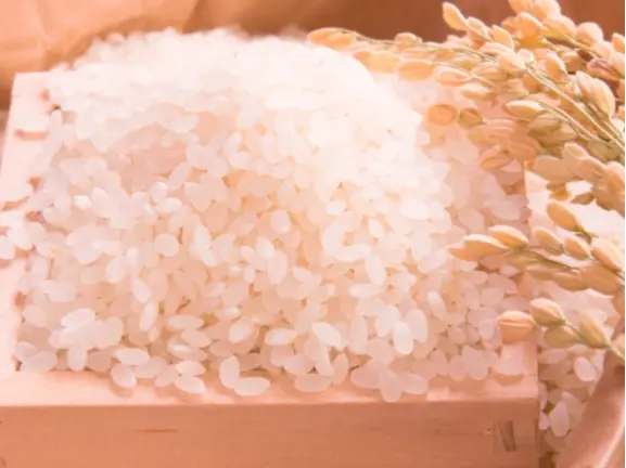 北海道産の餅米