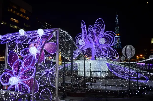 札幌ホワイトイルミネーション