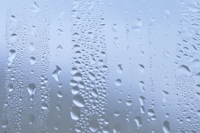 窓の結露
