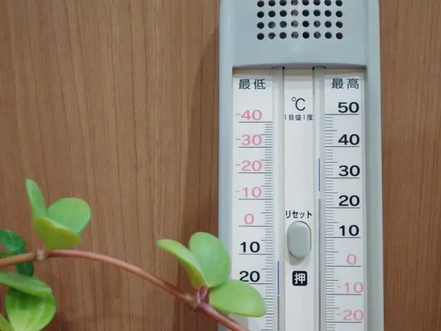 室内温度湿度計