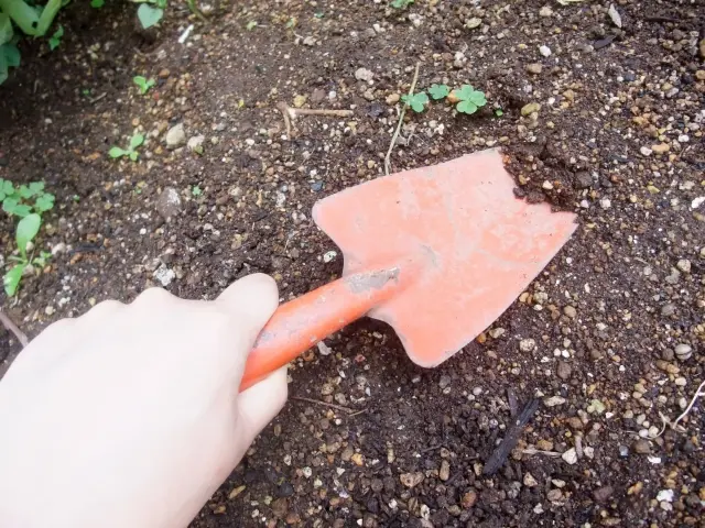 園芸用スコップ