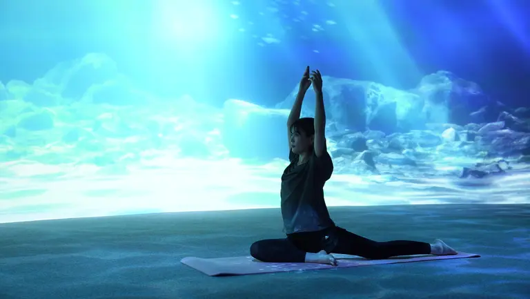 WONDER MEDITATION NIGHT