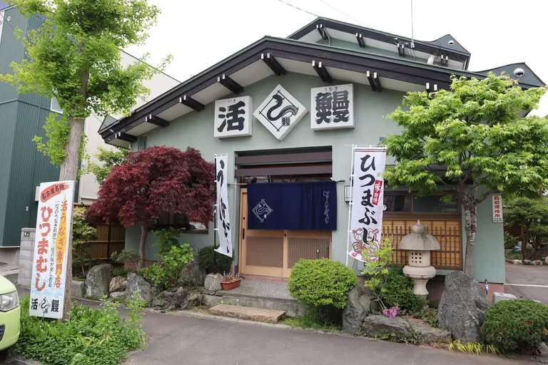 活鰻（いきうなぎ）