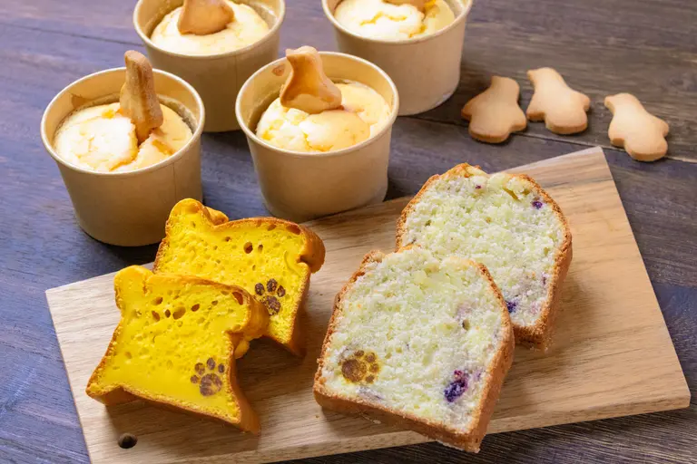 旭川市立大学短期大学部