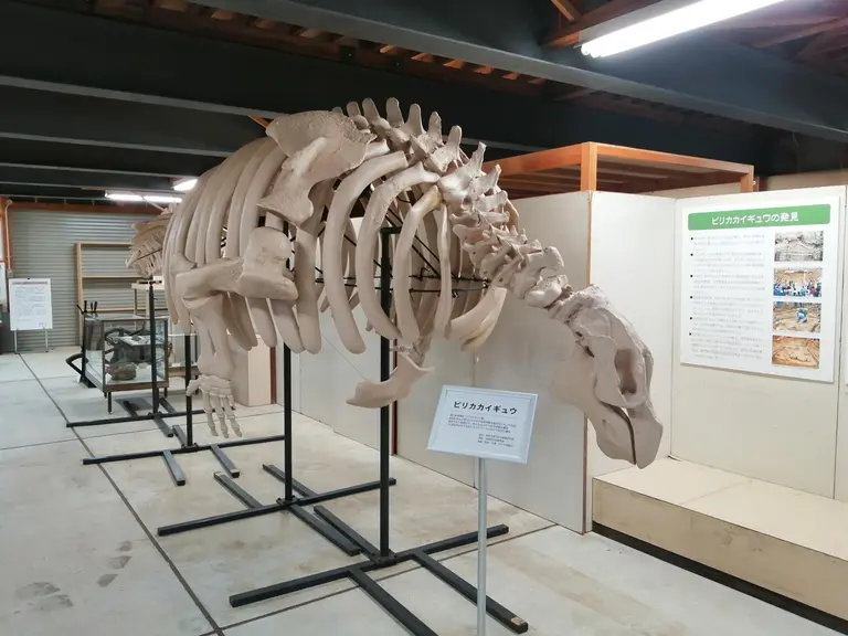 ピリカ遺跡の文化財保管・活用庫