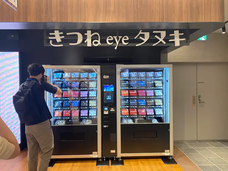 きつねeyeタヌキ