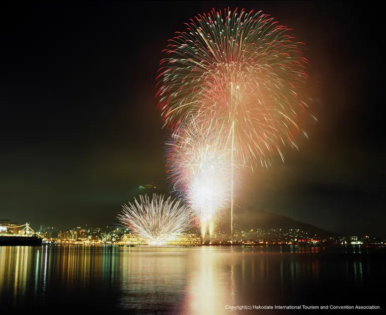花火が打ち上がる様子