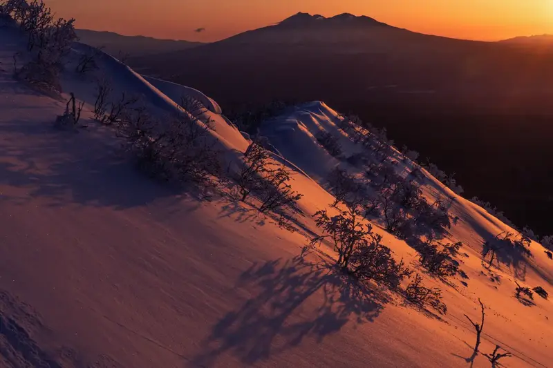 撮影地/藻琴山、撮影日/2024.3