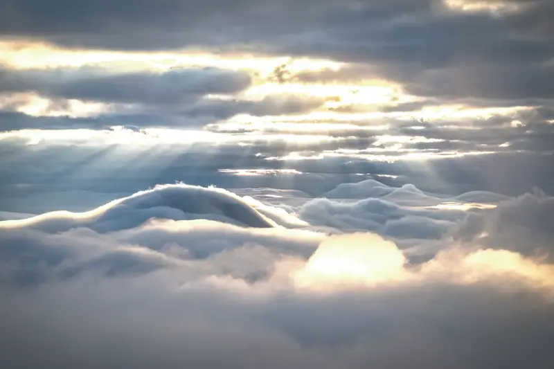 撮影地/雌阿寒岳、撮影日/2024.6