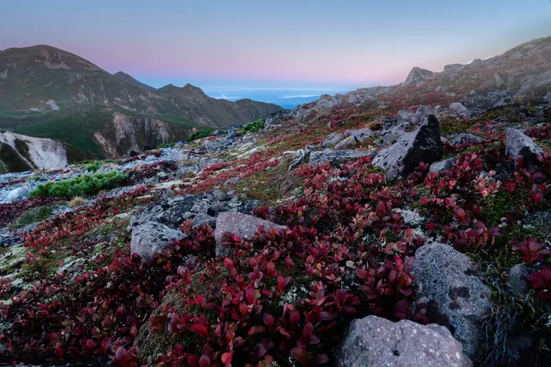撮影地/黒岳、撮影日/2023.9