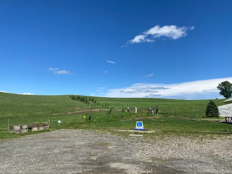 美瑛放牧酪農場牧場