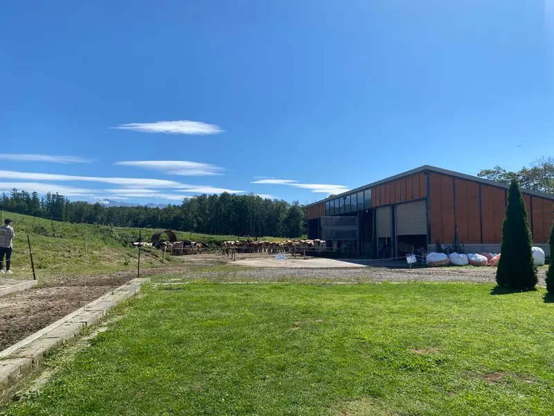 美瑛放牧酪農場牧場