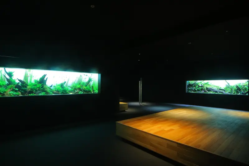 ネイチャーアクアリウム
