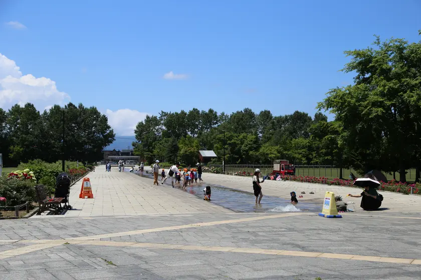 カナールの写真