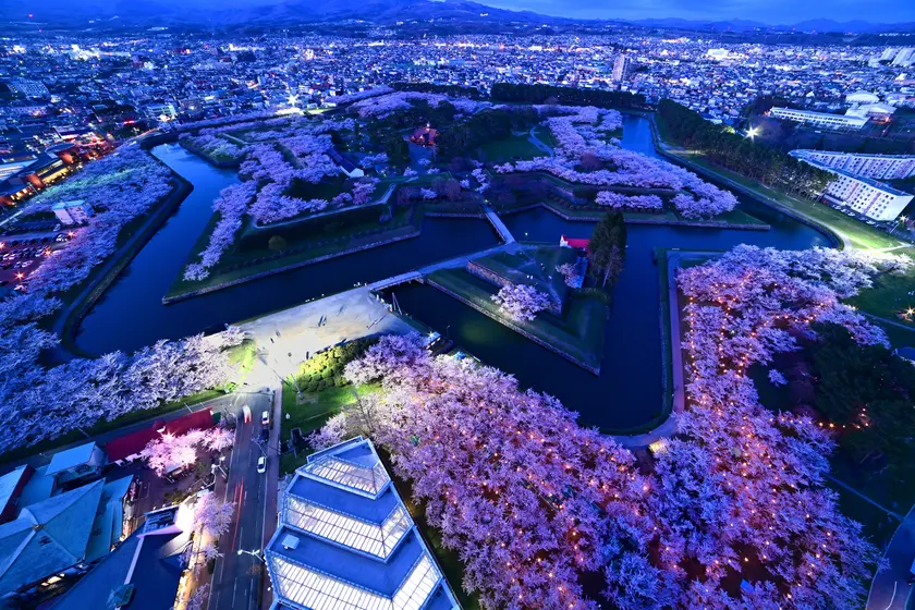 五稜郭タワーの展望フロアから見た電飾実施中の五稜郭公園