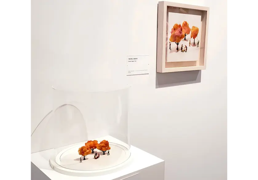 写真と撮影時のセットを見比べられる作品もある