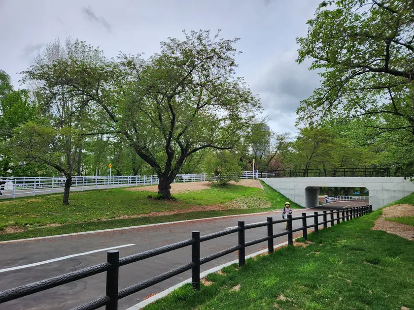 奥には橋があって、渡るコースとくぐるコースがあります