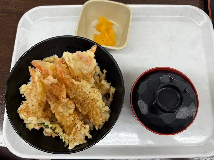 上からも、えびたん。