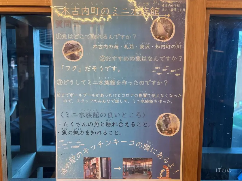 ミニ水族館