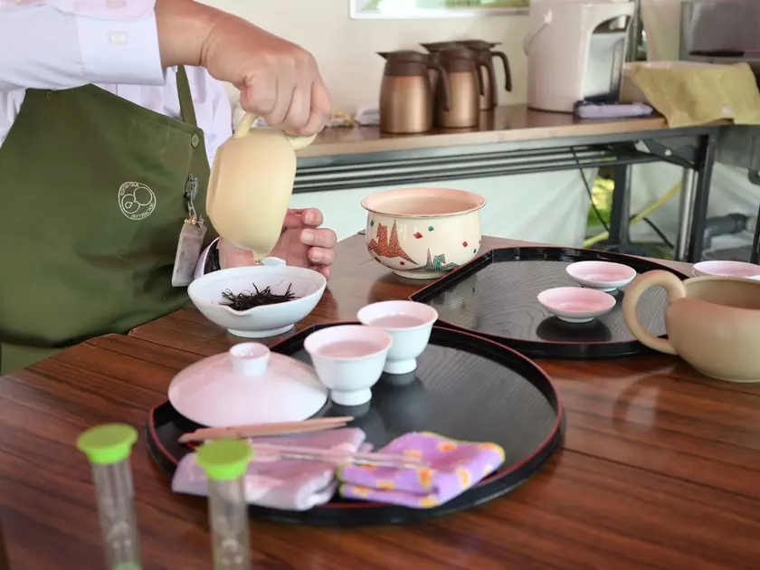 さっぽろライラックまつり5丁目手摘み茶の試飲