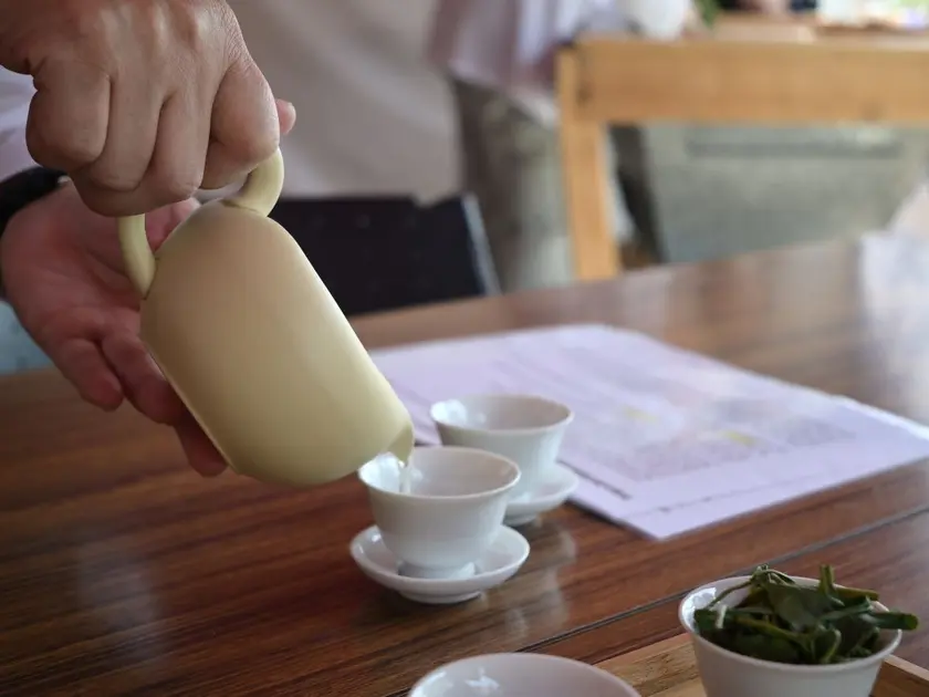 さっぽろライラックまつり5丁目手摘み茶の試飲2
