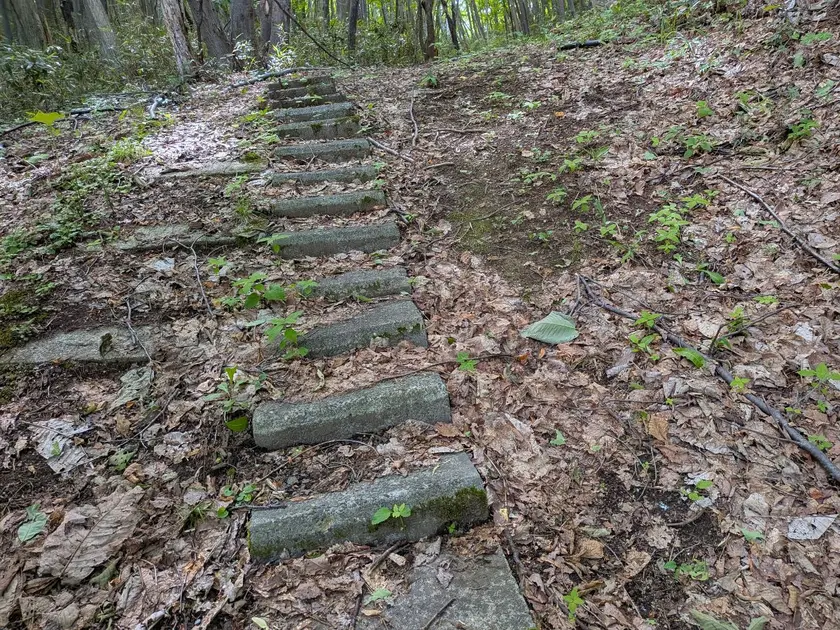 真駒内駅近くの山の遊歩道散策2