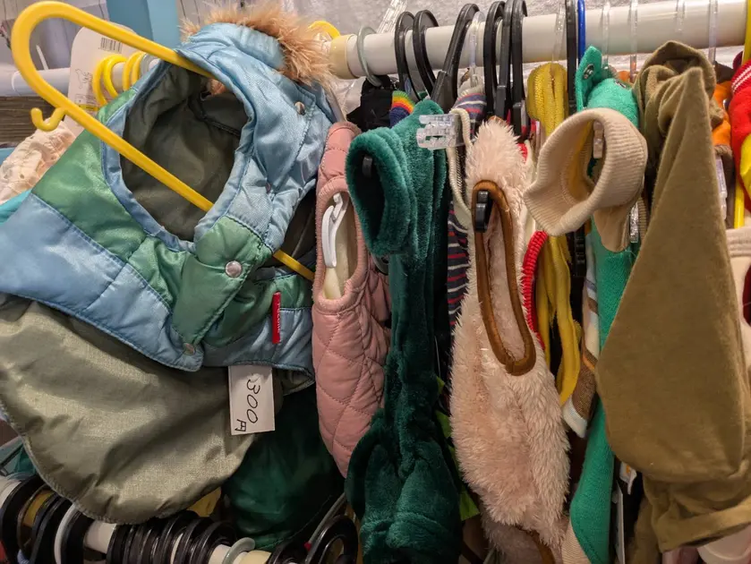 犬の洋服